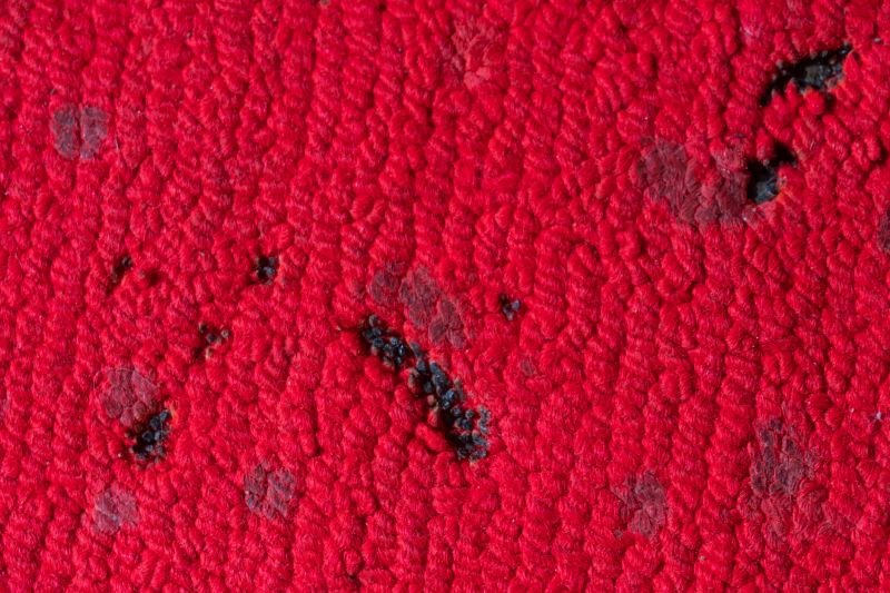 Carpet Repair Service in Alpharetta, GA