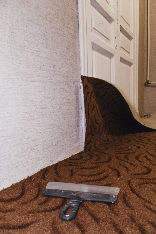 Pet Stain Carpet Repair in Overland Park, KS