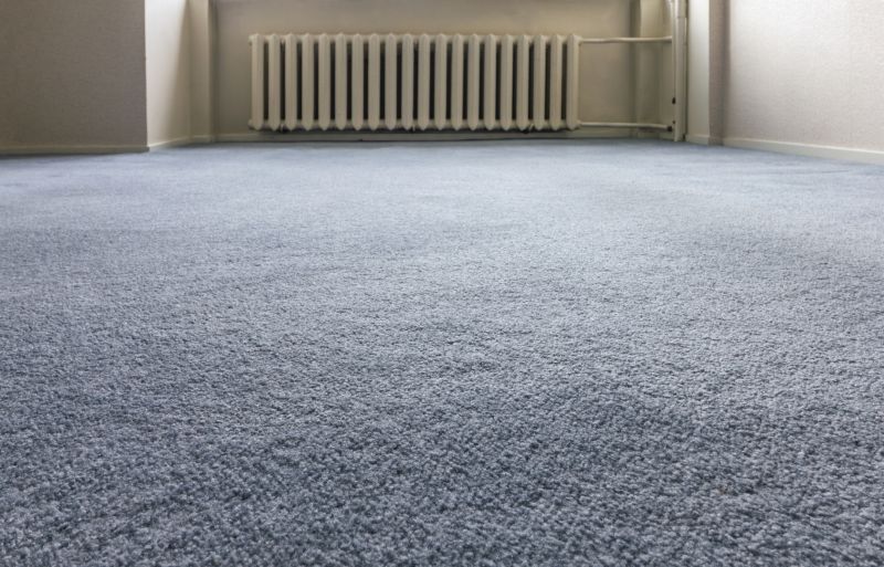 Pet Stain Carpet Repair in Alpharetta, GA