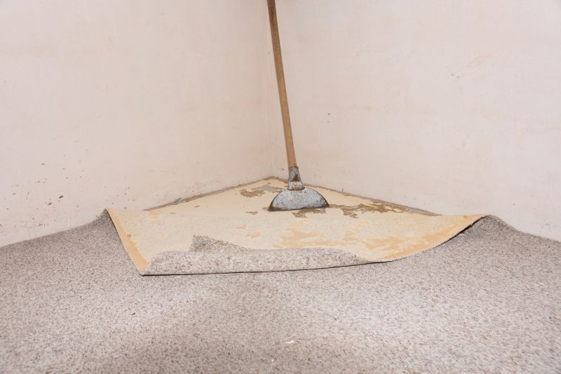 Residential Carpet Repair in Kansas City, KS